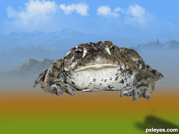 Creation of frog hill: Step 3