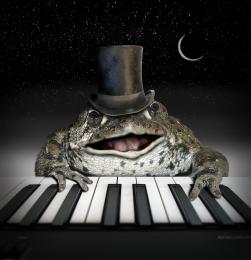 The Piano Frog