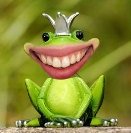 Smiling Frog