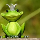frog prince photoshop contest