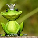 frog prince source image