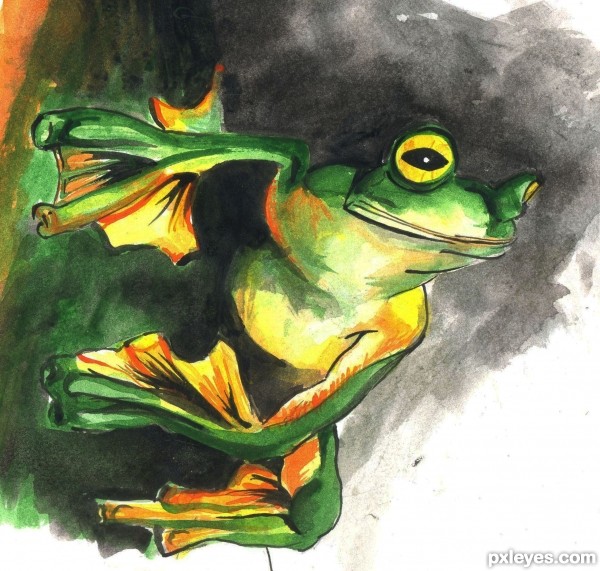 Creation of Green frog: Final Result