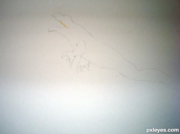 Creation of jumping frog: Step 1
