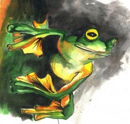 Green frog