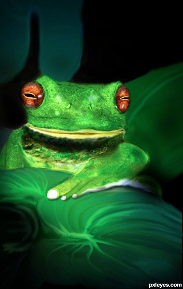 Creation of green frog: Final Result