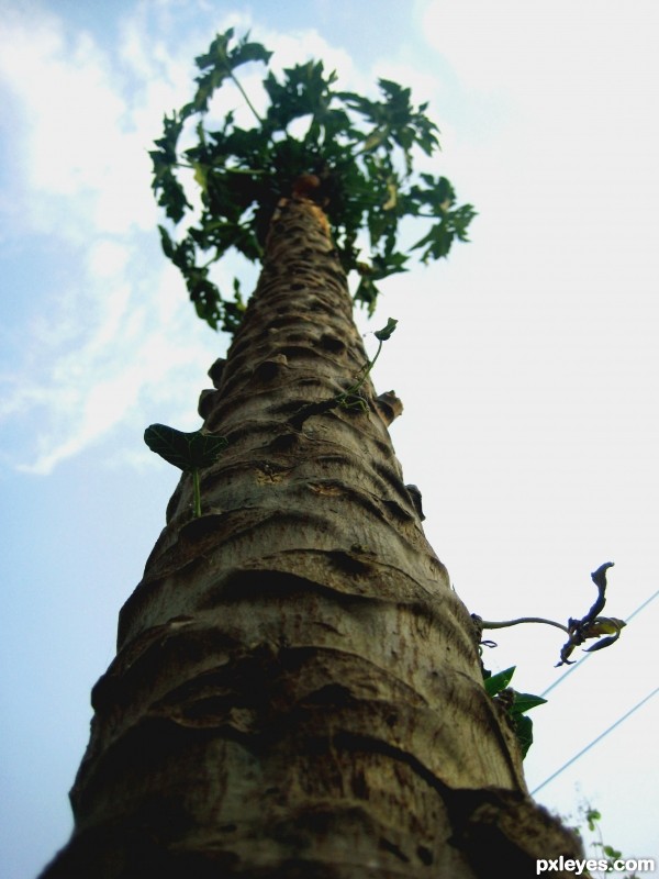 From below