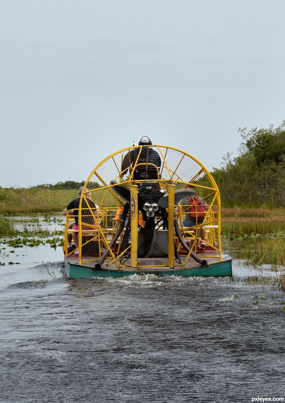 Airboat in the swamp