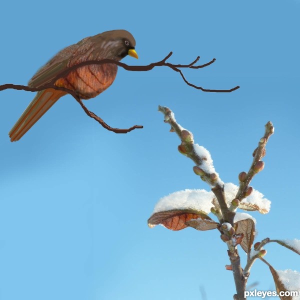 Creation of Harbinger of spring: Step 5