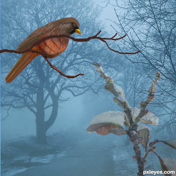 Creation of Harbinger of spring: Step 6