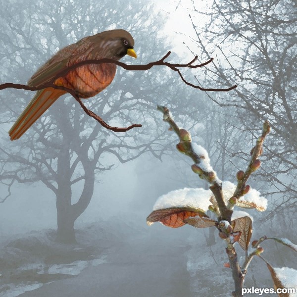 Creation of Harbinger of spring: Step 7