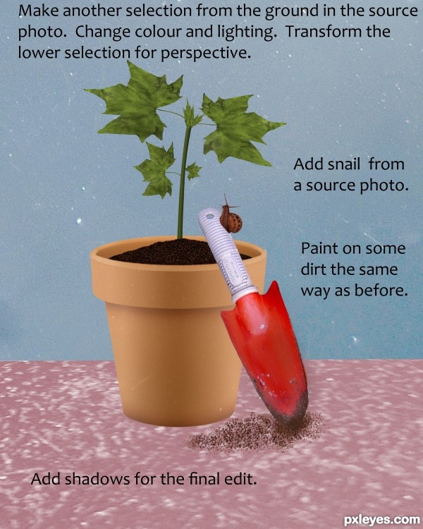 Creation of Wishing and Hoping: Step 11