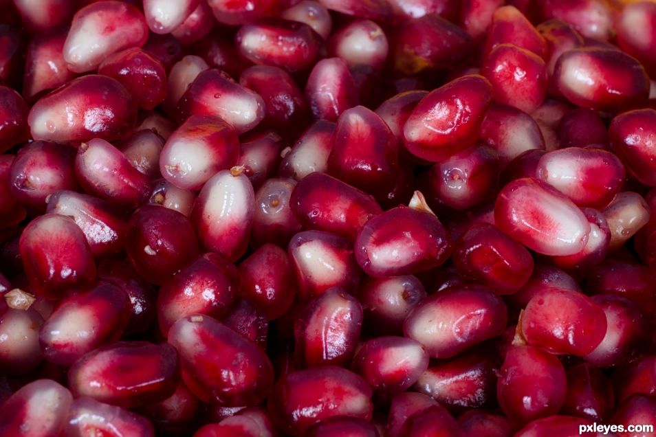 Pomegranate 