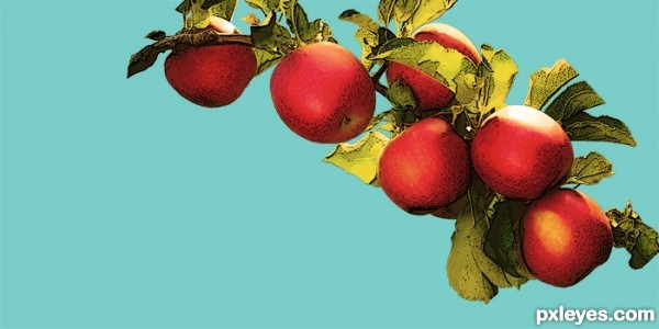 Creation of Elk Valley Apples: Step 2