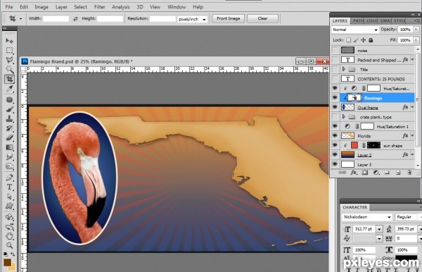 Creation of Flamingo Brand: Step 6
