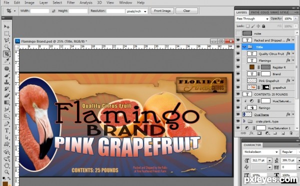 Creation of Flamingo Brand: Step 8