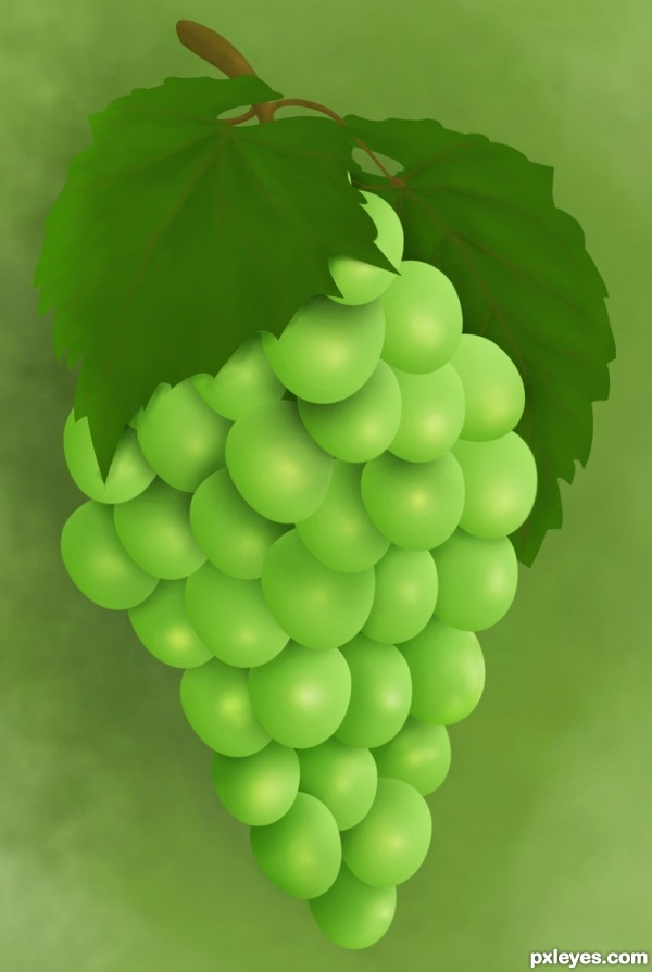 Creation of Grapes: Final Result