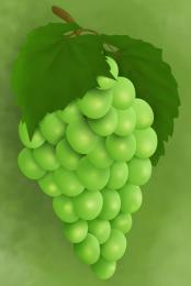 Grapes Picture