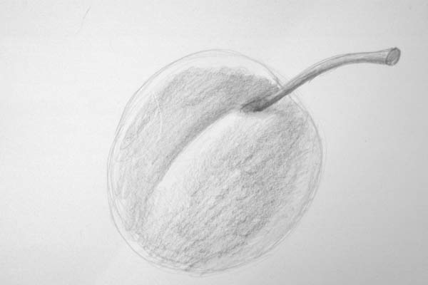 Creation of Graphite Plum: Step 1