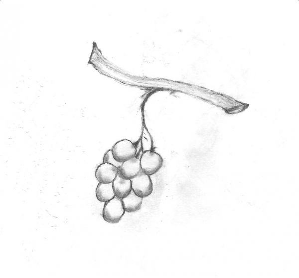 Creation of Grapes: Step 2