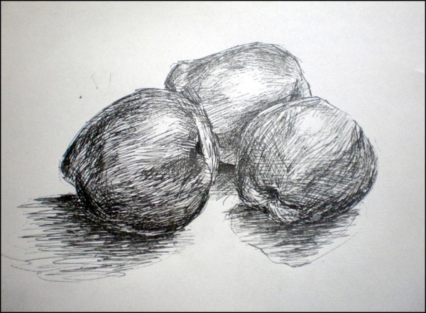 Creation of Apple still life: Step 2