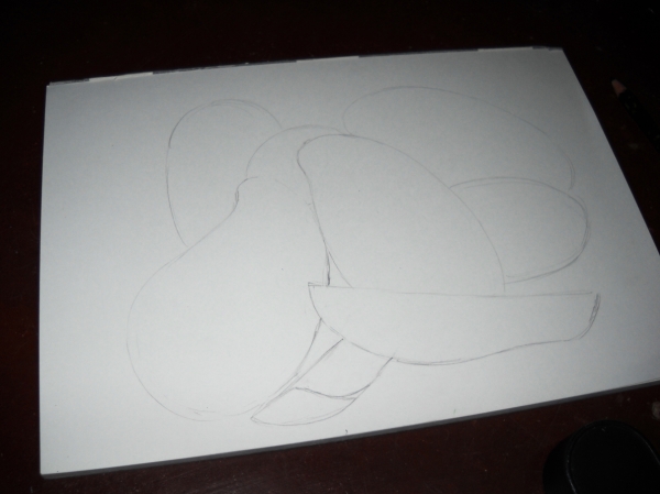 Creation of Mango: Step 1
