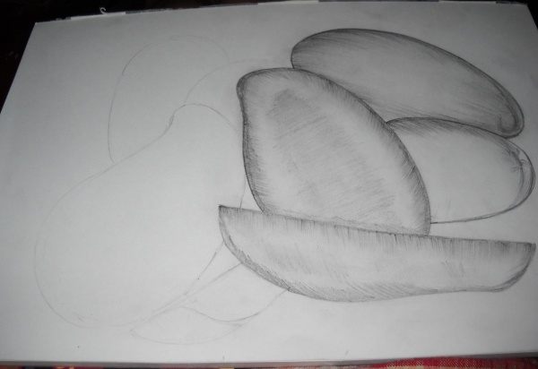 Creation of Mango: Step 2