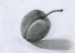 Graphite Plum