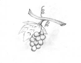 Grapes