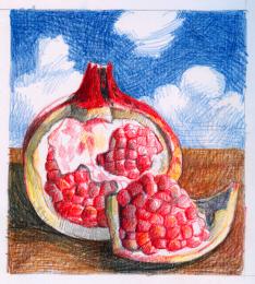 pomegranate