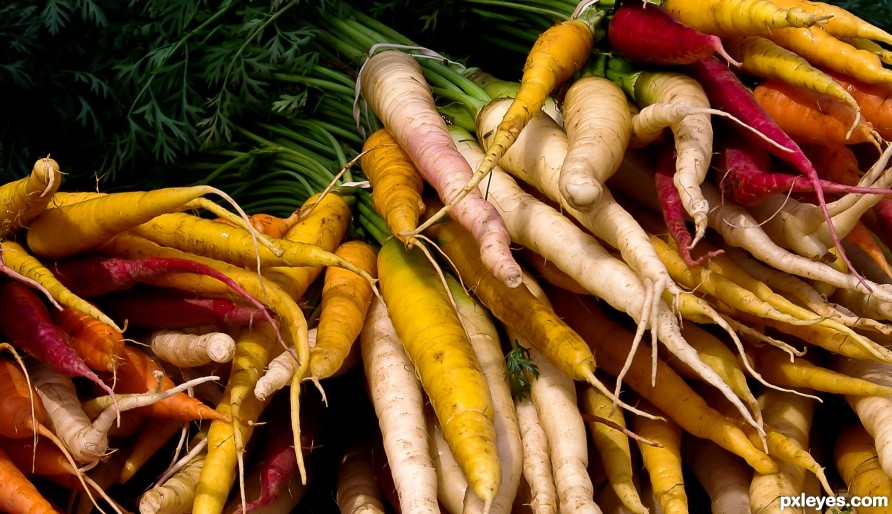 Rainbow Carrots