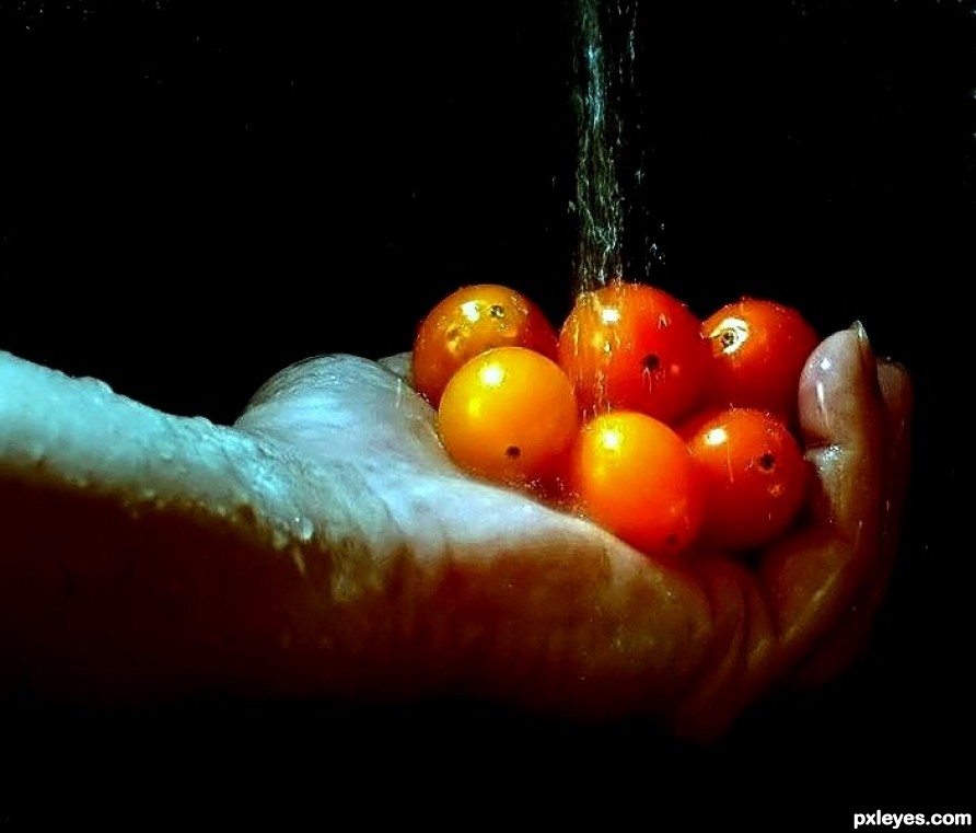 Cherry Tomatoes