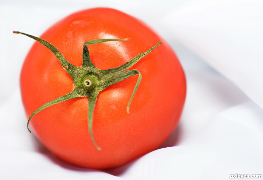Nude Tomato