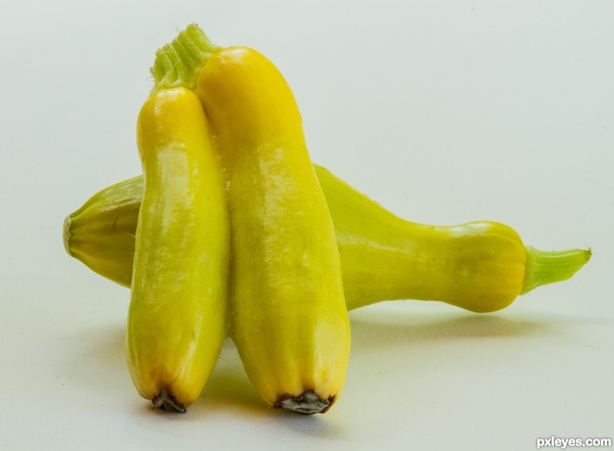 siamese squash 