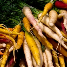 RainbowCarrots