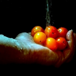 CherryTomatoes