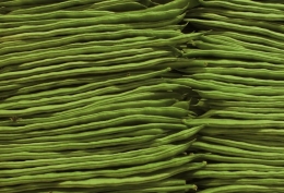 green beans