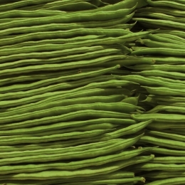 greenbeans