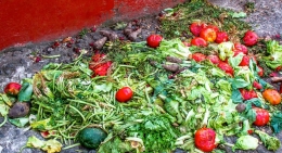 rotten veggies for critters
