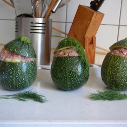 Zucchini1