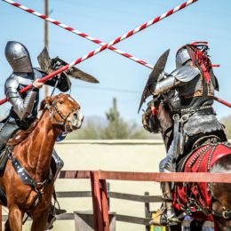 RenaissanceFaire