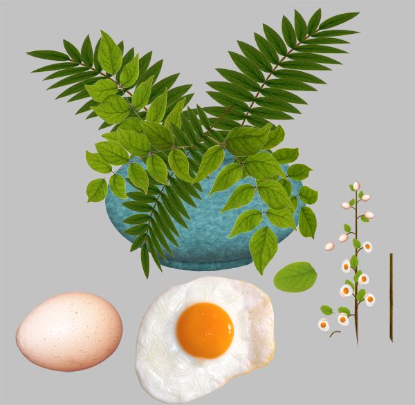 Creation of Egg Plant: Step 4