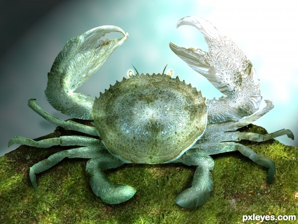 Creation of Crab affected by fungus!!: Final Result