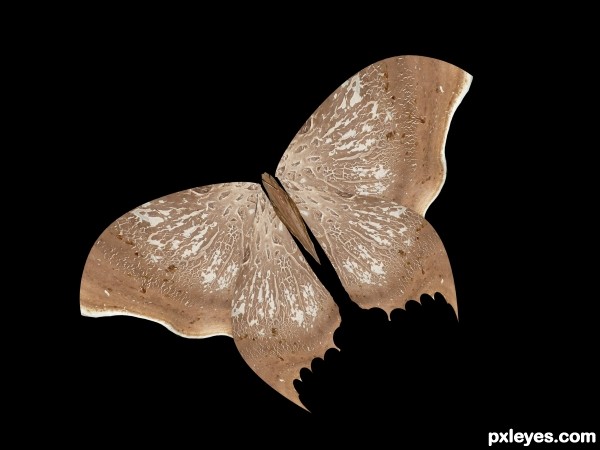 Creation of Butterfly: Step 7