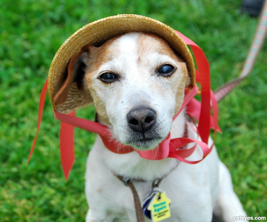 Awww, Mom...really....a hat?!