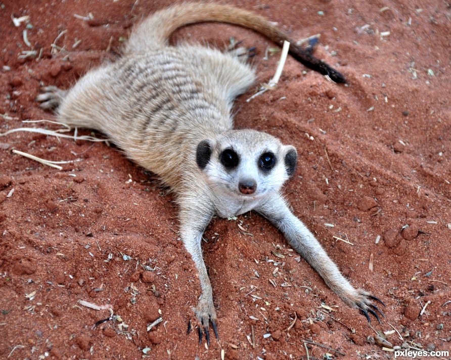 great sandbath