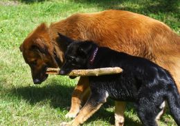 This is a "stickup!"