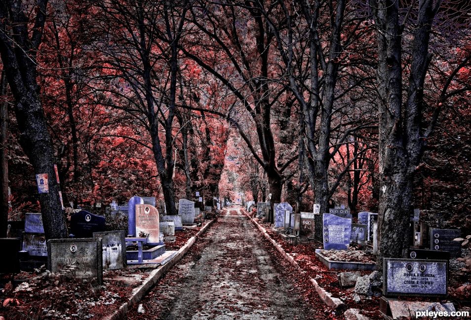 Graves - (infrared)