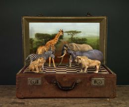 safari chess Picture