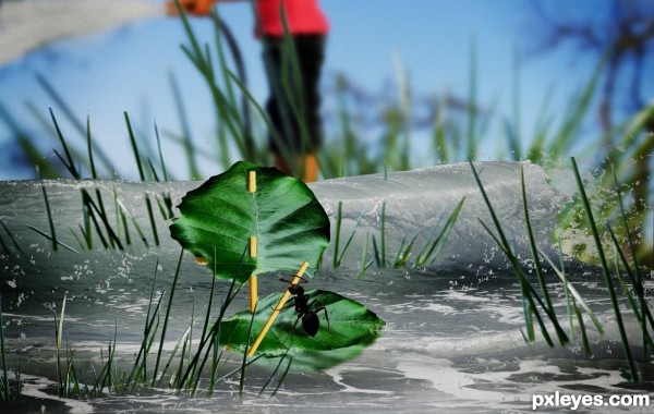 FLOOD IN THE GARDEN