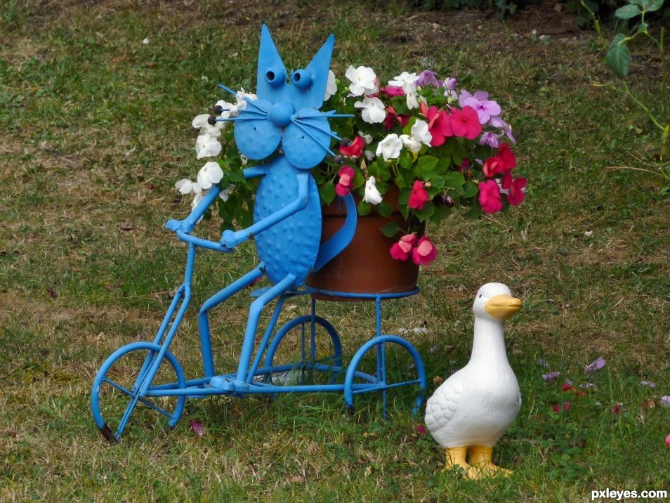The blue cat on his tricycle narrowly avoids a duck that crossed without looking